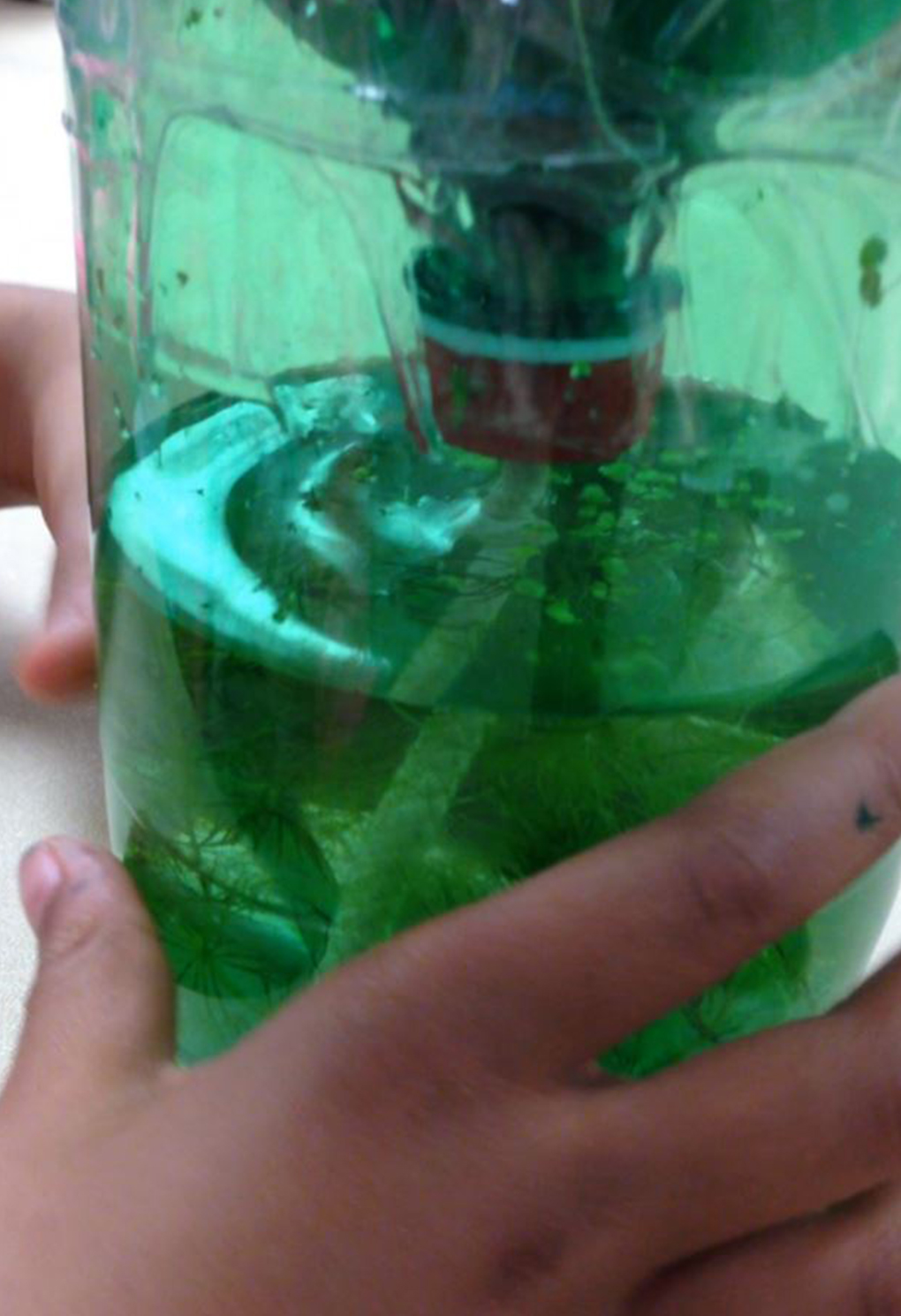 Support Community Science! | Pittsburgh community science workshop